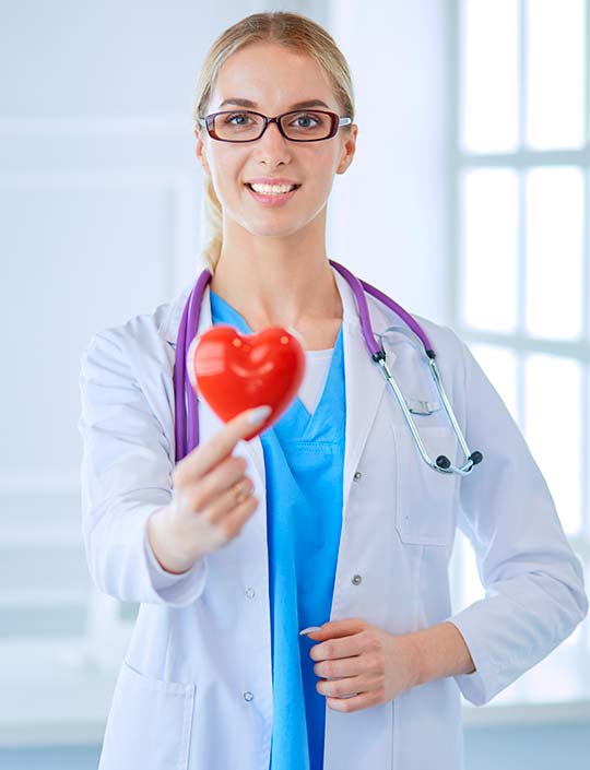 женщина врач держит перед собой игрушечное сердце